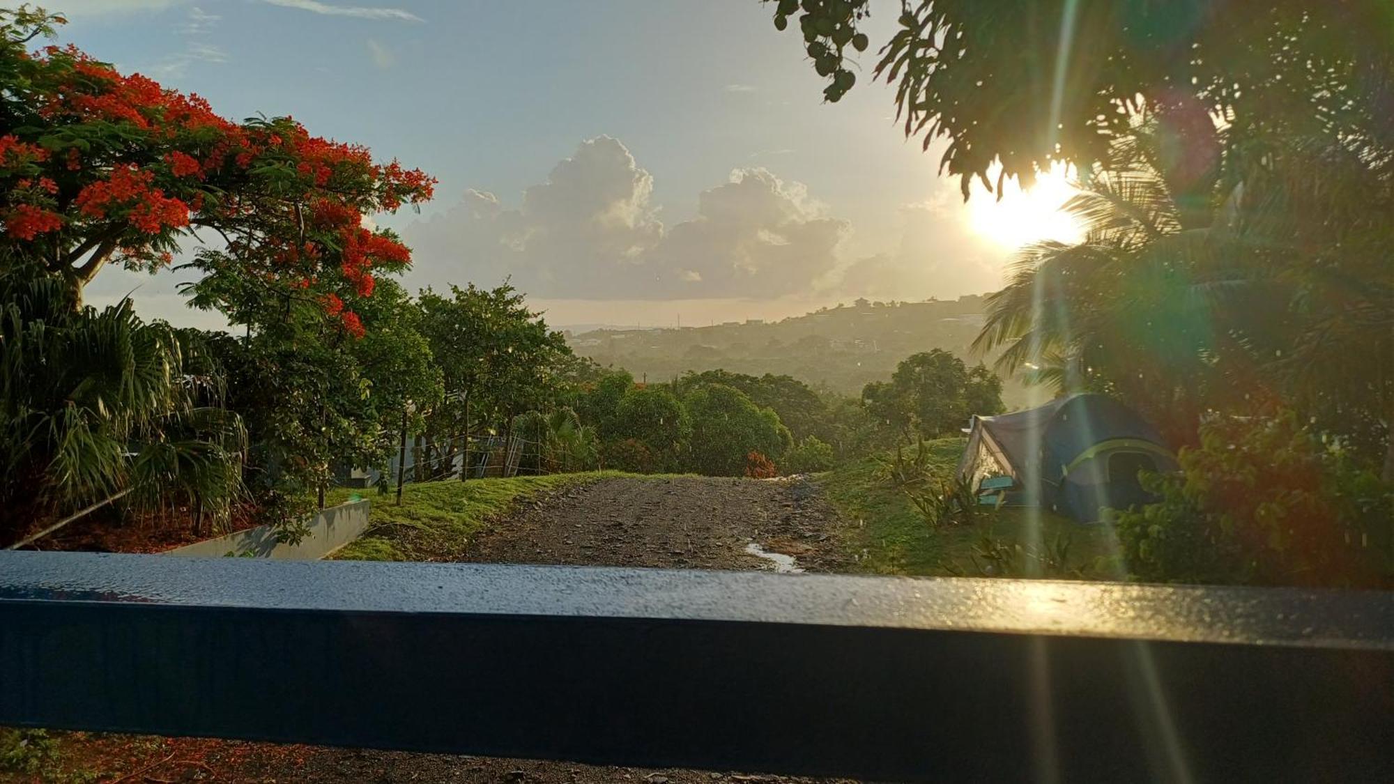 Rooster Run Glamping Camping Has Rooftop And Off The Ground Glamping Experience For 1 To 16 In A Single Tent And Views Of The Rain Forrest And To Culebra Across The Atlantic Ocean W Tents, Linens, Deluxe Air Beds, Warm Shower And More At A Great Pric Βιέκες Εξωτερικό φωτογραφία